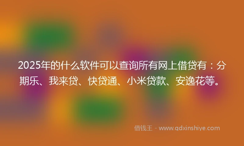 2025年的什么软件可以查询所有网上借贷有：分期乐、我来贷、快贷通、小米贷款、安逸花等。