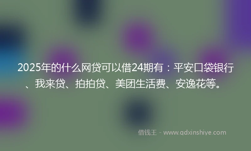 2025年的什么网贷可以借24期有：平安口袋银行、我来贷、拍拍贷、美团生活费、安逸花等。