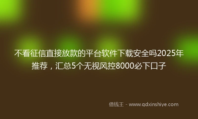 不看征信直接放款的平台软件下载安全吗2025年推荐，汇总5个无视风控8000必下口子