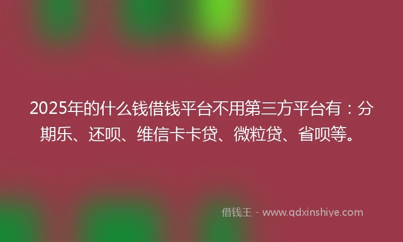 2025年的什么钱借钱平台不用第三方平台有：分期乐、还呗、维信卡卡贷、微粒贷、省呗等。