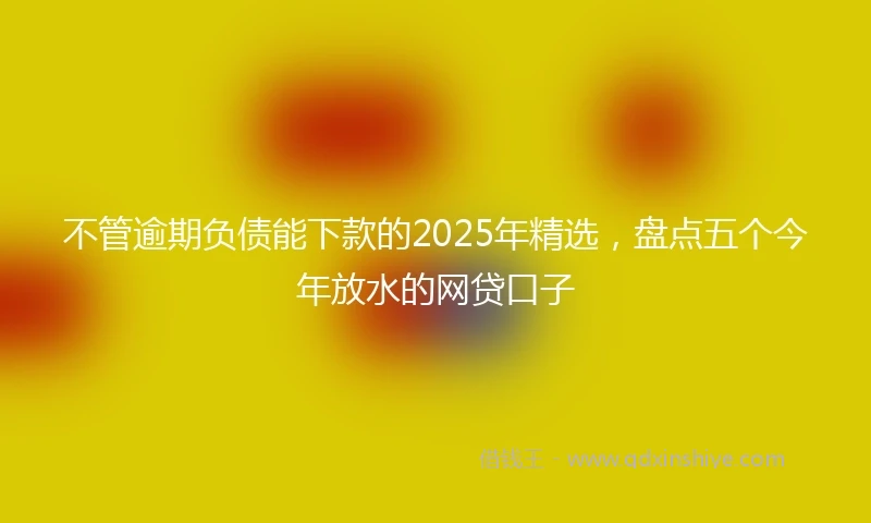 不管逾期负债能下款的2025年精选，盘点五个今年放水的网贷口子