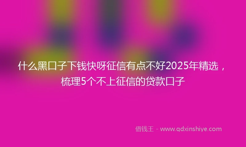什么黑口子下钱快呀征信有点不好2025年精选，梳理5个不上征信的贷款口子