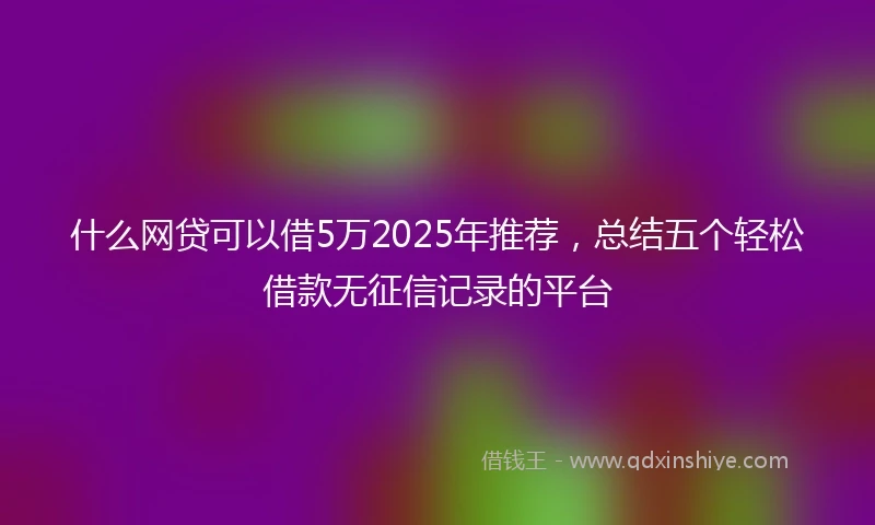 什么网贷可以借5万2025年推荐，总结五个轻松借款无征信记录的平台