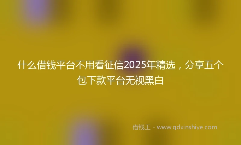 什么借钱平台不用看征信2025年精选，分享五个包下款平台无视黑白
