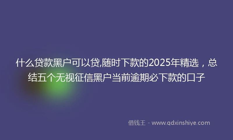 什么贷款黑户可以贷,随时下款的2025年精选，总结五个无视征信黑户当前逾期必下款的口子