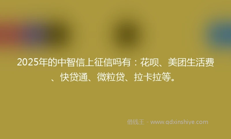2025年的中智信上征信吗有：花呗、美团生活费、快贷通、微粒贷、拉卡拉等。