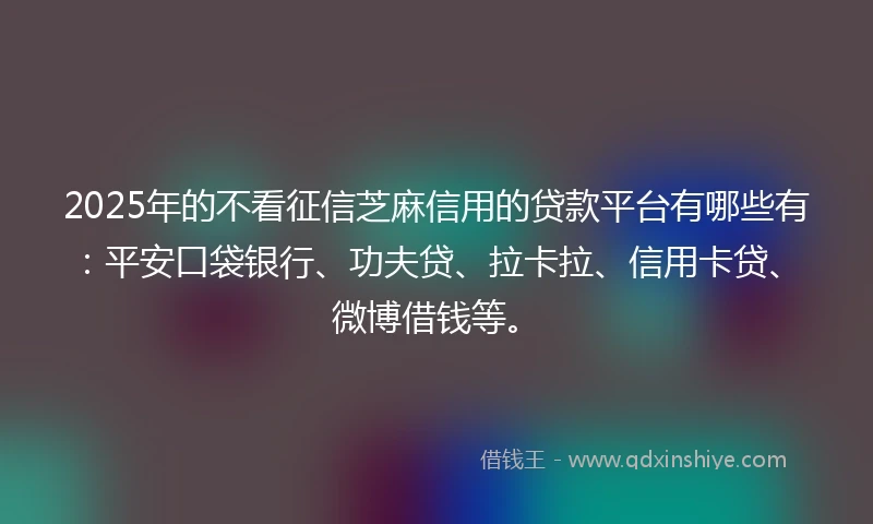 2025年的不看征信芝麻信用的贷款平台有哪些有：平安口袋银行、功夫贷、拉卡拉、信用卡贷、微博借钱等。