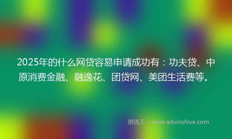 2025年的什么网贷容易申请成功有：功夫贷、中原消费金融、融逸花、团贷网、美团生活费等。