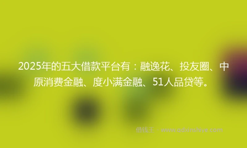 2025年的五大借款平台有：融逸花、投友圈、中原消费金融、度小满金融、51人品贷等。