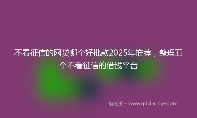 不看征信的网贷哪个好批款2025年推荐，整理五个不看征信的借钱平台