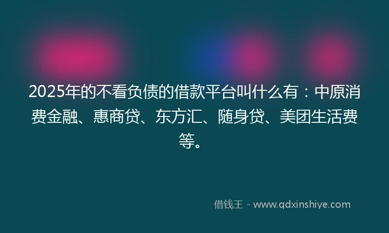 2025年的不看负债的借款平台叫什么有：中原消费金融、惠商贷、东方汇、随身贷、美团生活费等。