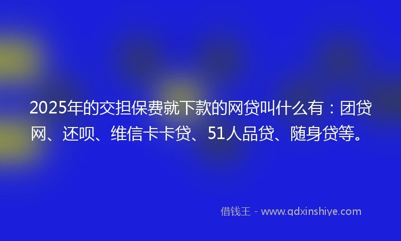 2025年的交担保费就下款的网贷叫什么有：团贷网、还呗、维信卡卡贷、51人品贷、随身贷等。