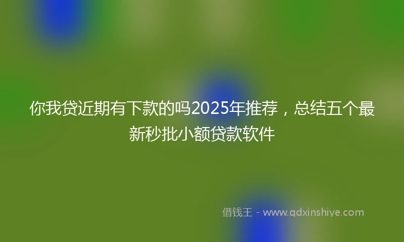 你我贷近期有下款的吗2025年推荐，总结五个最新秒批小额贷款软件