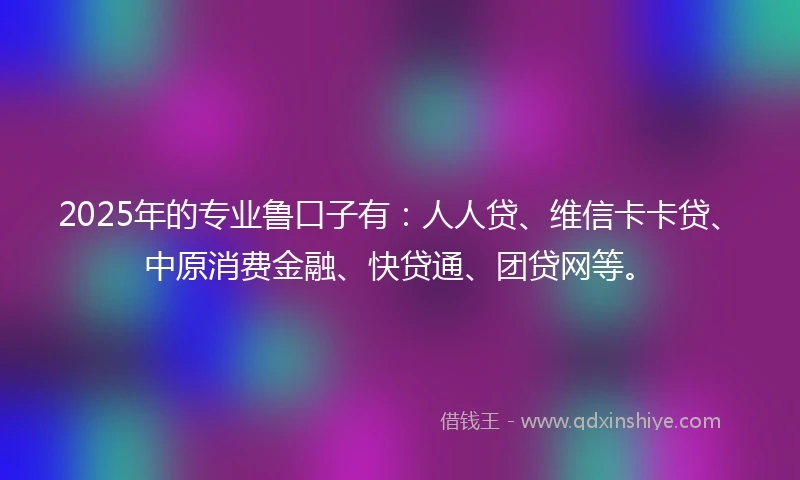 2025年的专业鲁口子有：人人贷、维信卡卡贷、中原消费金融、快贷通、团贷网等。