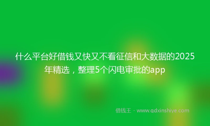 什么平台好借钱又快又不看征信和大数据的2025年精选，整理5个闪电审批的app