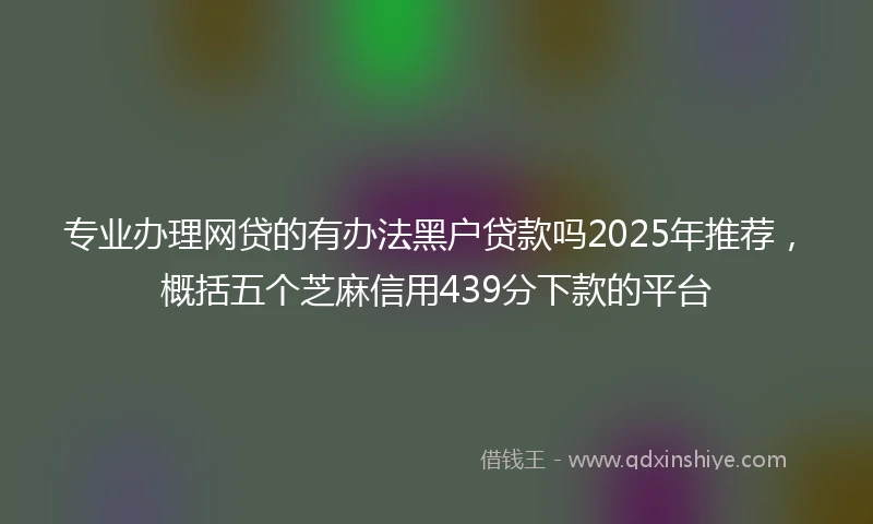 专业办理网贷的有办法黑户贷款吗2025年推荐，概括五个芝麻信用439分下款的平台
