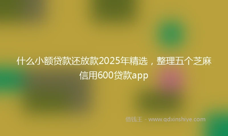 什么小额贷款还放款2025年精选，整理五个芝麻信用600贷款app