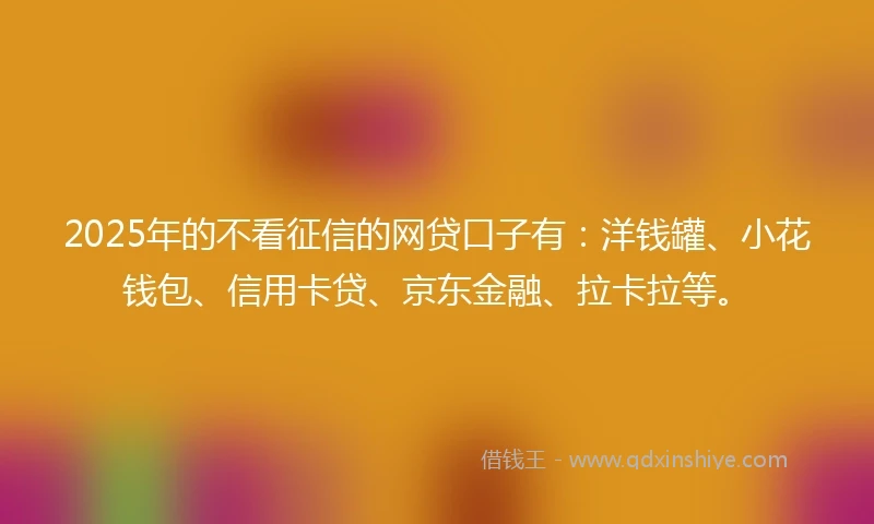 2025年的不看征信的网贷口子有：洋钱罐、小花钱包、信用卡贷、京东金融、拉卡拉等。