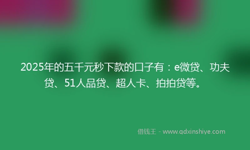 2025年的五千元秒下款的口子有：e微贷、功夫贷、51人品贷、超人卡、拍拍贷等。