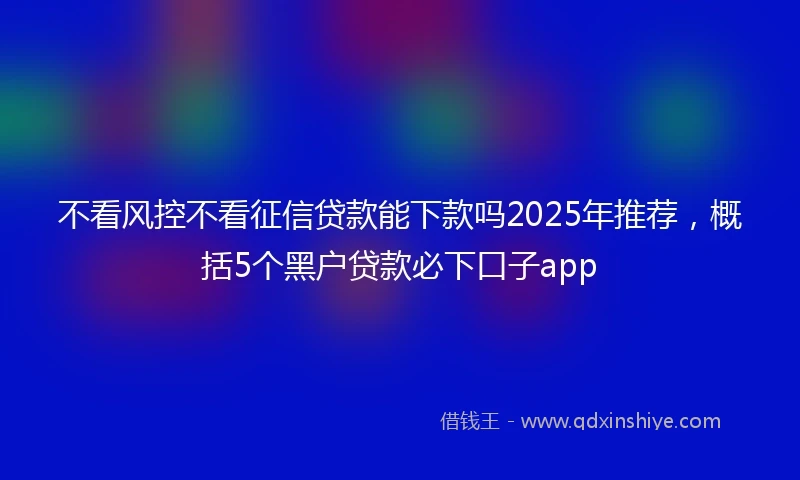 不看风控不看征信贷款能下款吗2025年推荐，概括5个黑户贷款必下口子app