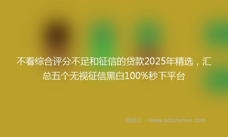 不看综合评分不足和征信的贷款2025年精选，汇总五个无视征信黑白100%秒下平台