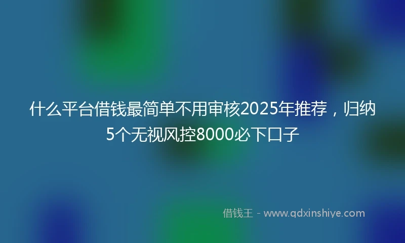 什么平台借钱最简单不用审核2025年推荐，归纳5个无视风控8000必下口子