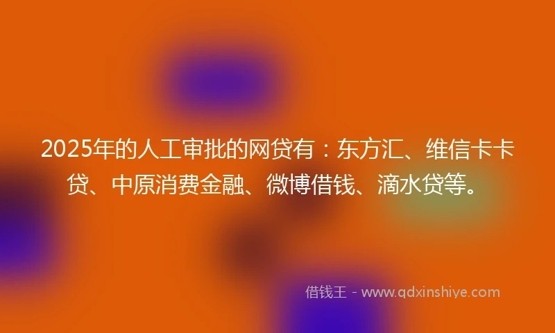 2025年的人工审批的网贷有：东方汇、维信卡卡贷、中原消费金融、微博借钱、滴水贷等。
