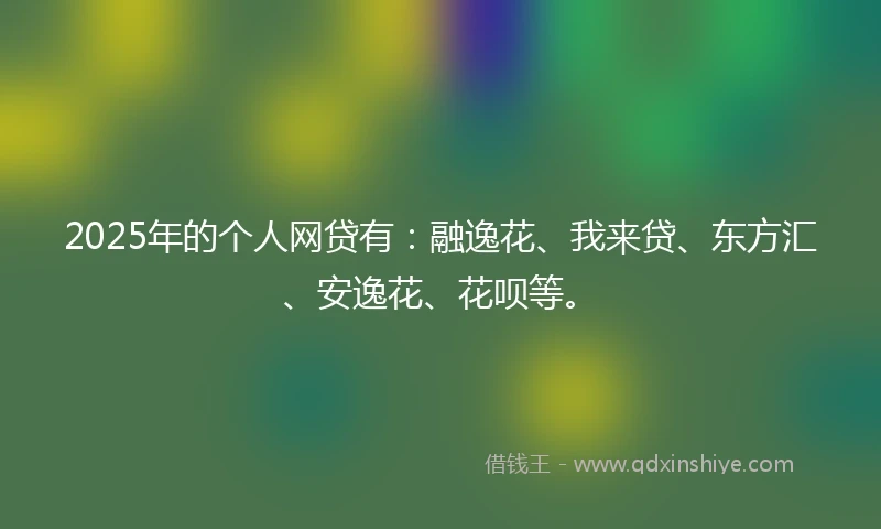 2025年的个人网贷有：融逸花、我来贷、东方汇、安逸花、花呗等。