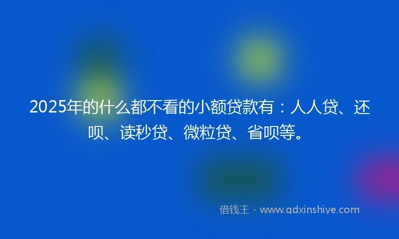2025年的什么都不看的小额贷款有：人人贷、还呗、读秒贷、微粒贷、省呗等。