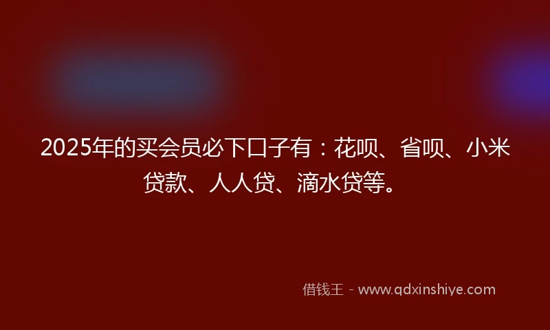 2025年的买会员必下口子有：花呗、省呗、小米贷款、人人贷、滴水贷等。