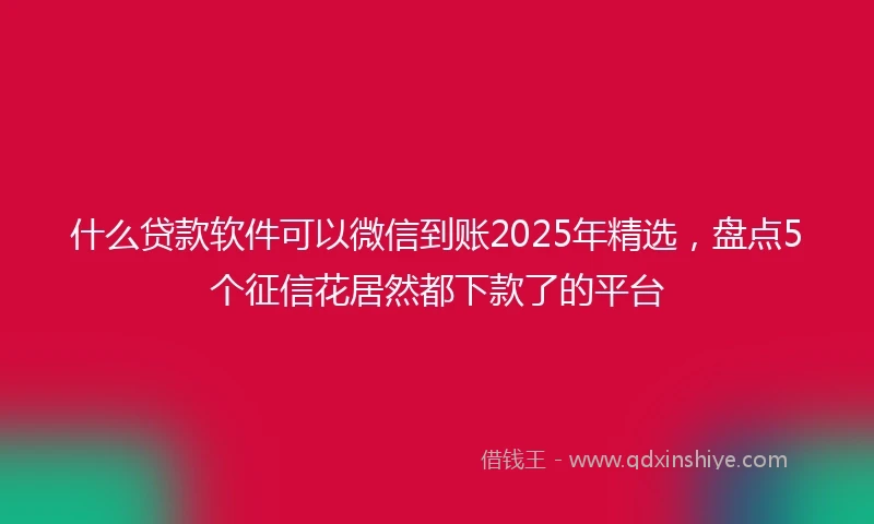 什么贷款软件可以微信到账2025年精选，盘点5个征信花居然都下款了的平台