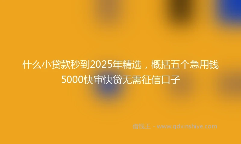 什么小贷款秒到2025年精选，概括五个急用钱5000快审快贷无需征信口子