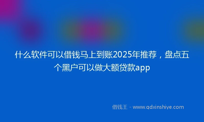 什么软件可以借钱马上到账2025年推荐，盘点五个黑户可以做大额贷款app