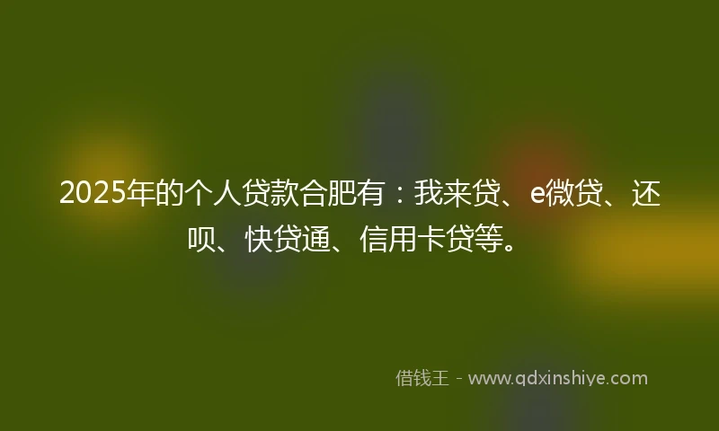 2025年的个人贷款合肥有：我来贷、e微贷、还呗、快贷通、信用卡贷等。