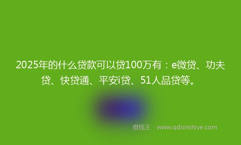 2025年的什么贷款可以贷100万有：e微贷、功夫贷、快贷通、平安i贷、51人品贷等。