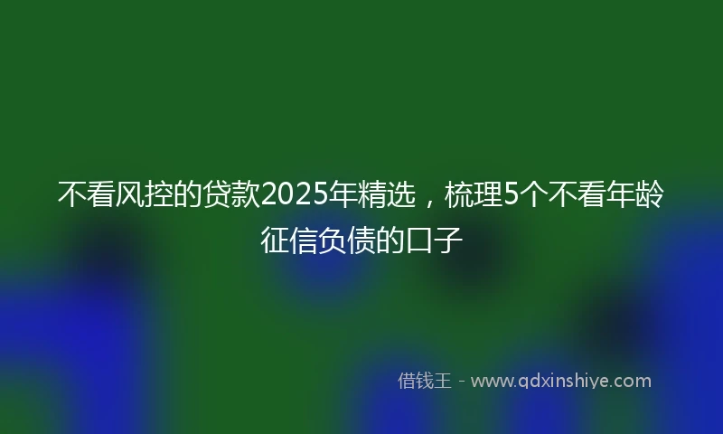 不看风控的贷款2025年精选，梳理5个不看年龄征信负债的口子