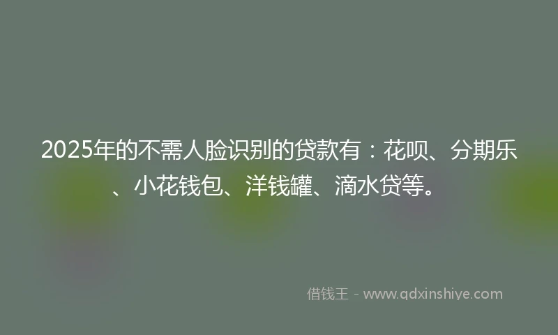 2025年的不需人脸识别的贷款有：花呗、分期乐、小花钱包、洋钱罐、滴水贷等。