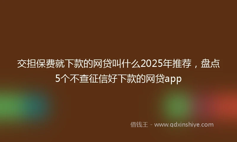 交担保费就下款的网贷叫什么2025年推荐，盘点5个不查征信好下款的网贷app