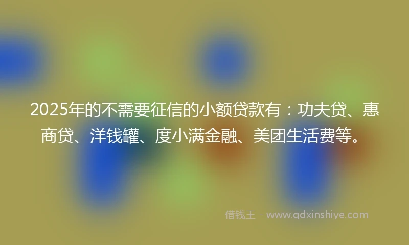 2025年的不需要征信的小额贷款有：功夫贷、惠商贷、洋钱罐、度小满金融、美团生活费等。