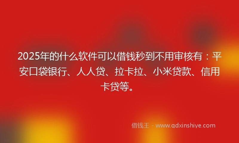 2025年的什么软件可以借钱秒到不用审核有：平安口袋银行、人人贷、拉卡拉、小米贷款、信用卡贷等。