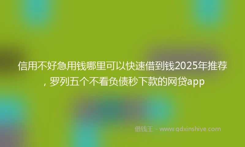 信用不好急用钱哪里可以快速借到钱2025年推荐，罗列五个不看负债秒下款的网贷app