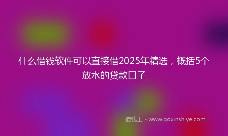 什么借钱软件可以直接借2025年精选，概括5个放水的贷款口子