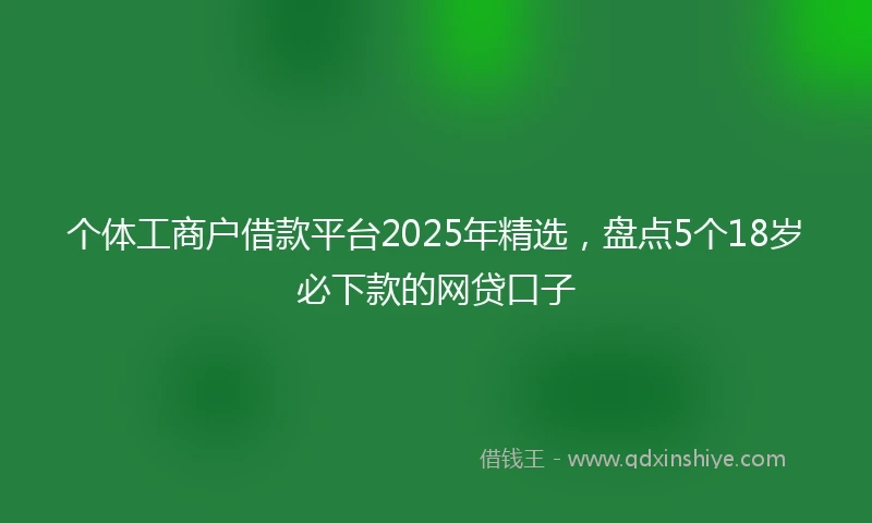 个体工商户借款平台2025年精选，盘点5个18岁必下款的网贷口子