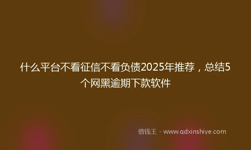 什么平台不看征信不看负债2025年推荐，总结5个网黑逾期下款软件