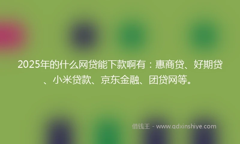 2025年的什么网贷能下款啊有：惠商贷、好期贷、小米贷款、京东金融、团贷网等。