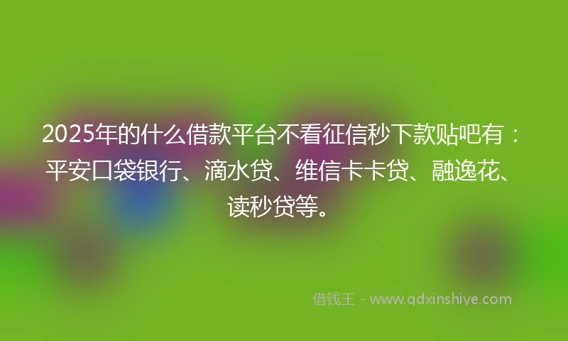 2025年的什么借款平台不看征信秒下款贴吧有：平安口袋银行、滴水贷、维信卡卡贷、融逸花、读秒贷等。