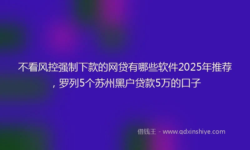 不看风控强制下款的网贷有哪些软件2025年推荐，罗列5个苏州黑户贷款5万的口子