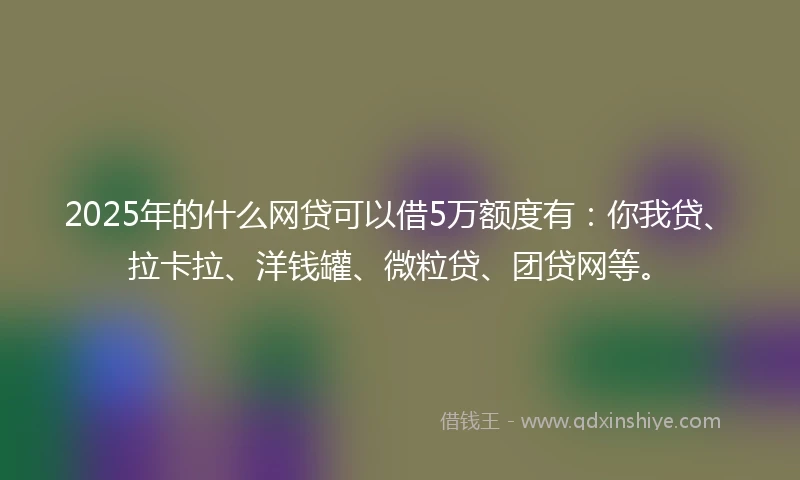 2025年的什么网贷可以借5万额度有：你我贷、拉卡拉、洋钱罐、微粒贷、团贷网等。