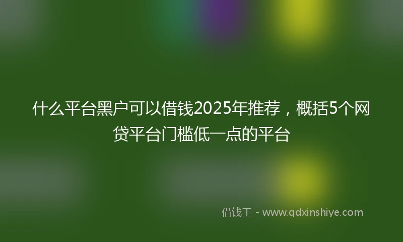 什么平台黑户可以借钱2025年推荐，概括5个网贷平台门槛低一点的平台