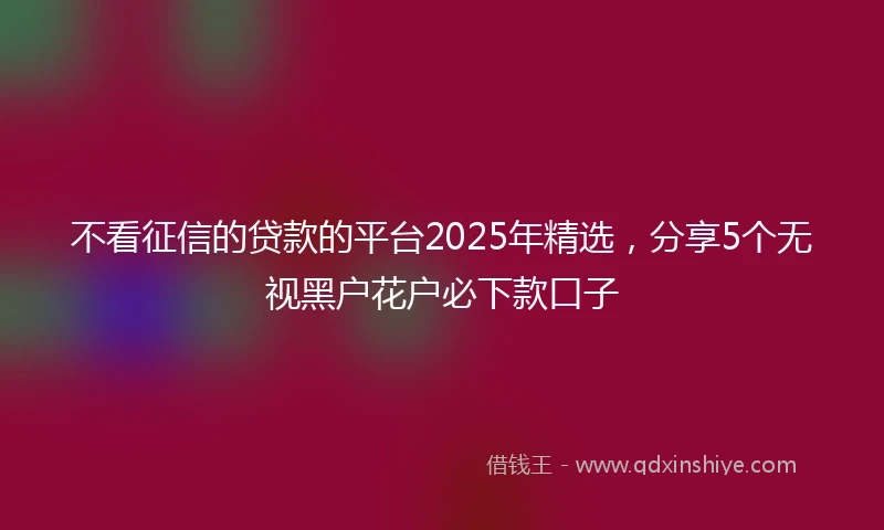 不看征信的贷款的平台2025年精选，分享5个无视黑户花户必下款口子